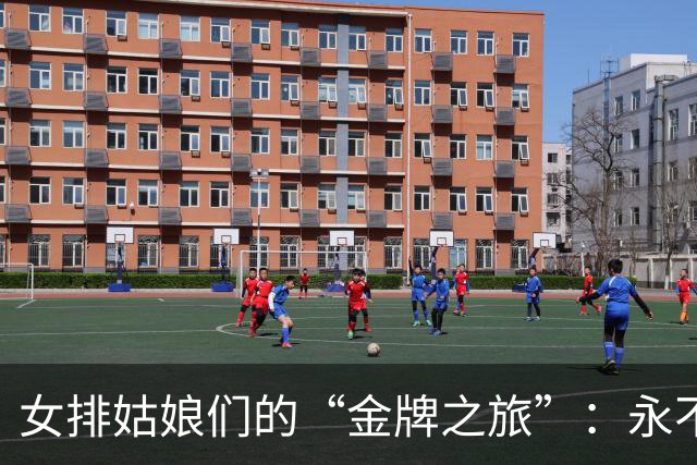 女排姑娘们的“金牌之旅”：永不止步的梦想追逐